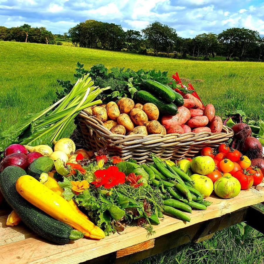 Ballylagan Organic Farm Straid  Εξωτερικό φωτογραφία