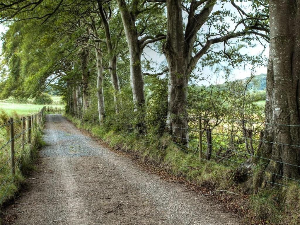 Ballylagan Organic Farm Straid  Εξωτερικό φωτογραφία